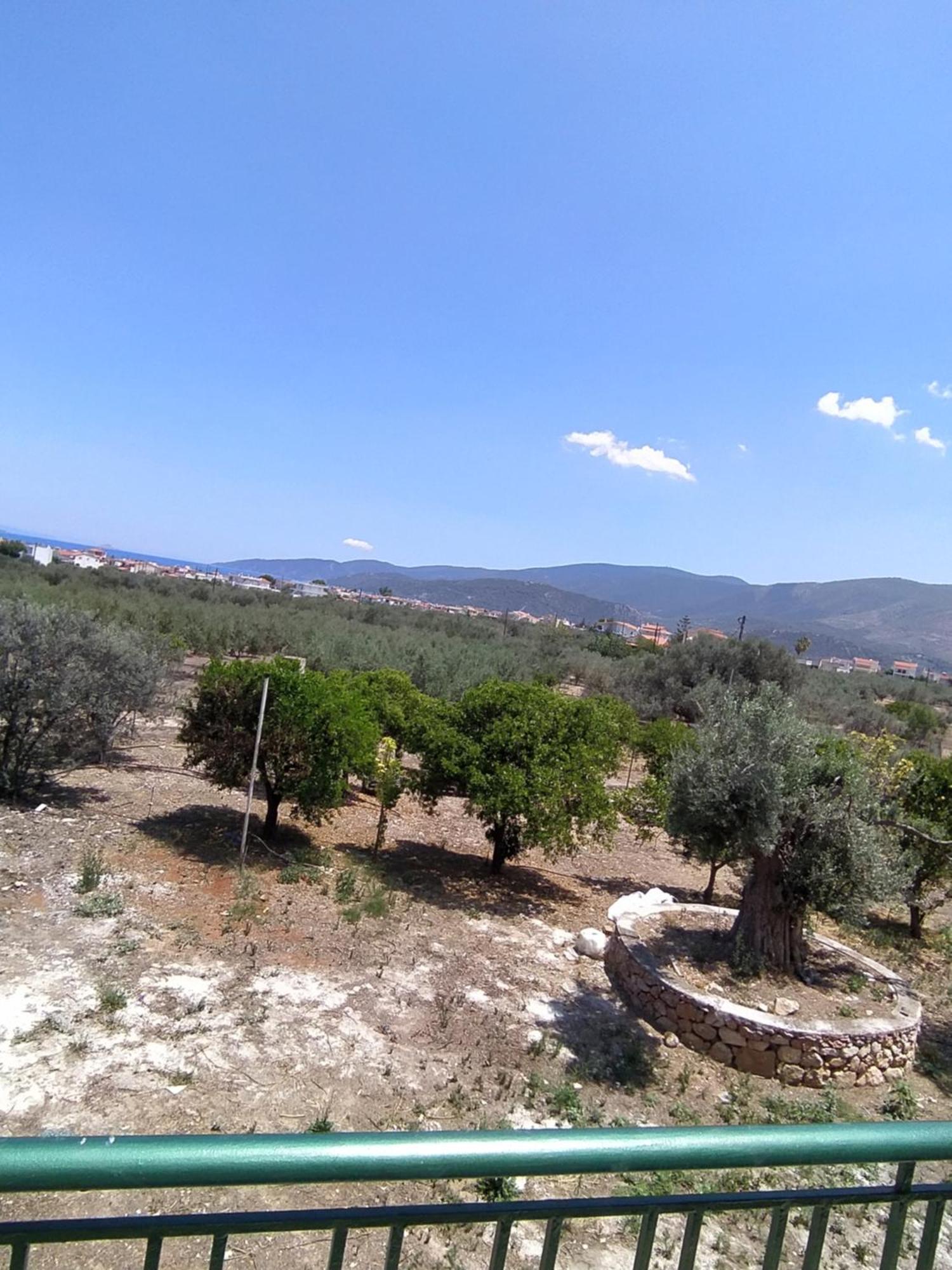 Baitani Villa Λουτρά Ωραίας Ελένης Εξωτερικό φωτογραφία
